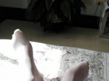 诱惑白色对对袜