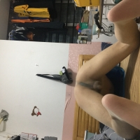 2022.12肉丝肛塞跪着发情的样子太骚了