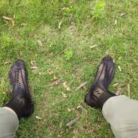 结交喜欢锦纶丝袜的爷们朋友