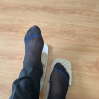 新人报道，多多关照！