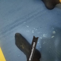 穿丝着袜插自己就是射的多。