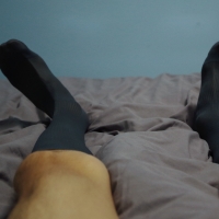 有没有骚儿子来伺候