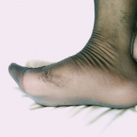 日丝，穿了两天，味道相当美味，自己都忍不住问了几下。