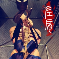 左肩捆绑调教丝袜家奴，太会玩了