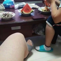 在基友面前穿连裤丝袜