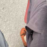 偷拍摩的大叔丝袜